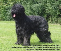 /album/fotogalerie-raziel-romani/raziel-wb-01-jpg/